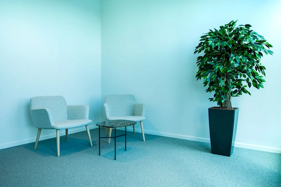 Sala de espera moderna e minimalista em clínica de saúde, com poltronas estofadas e planta, transmitindo conforto e tranquilidade para pacientes.